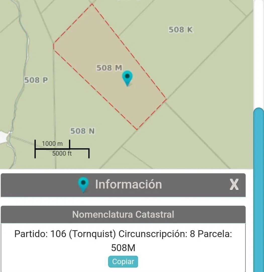 Campo - Dolores 5