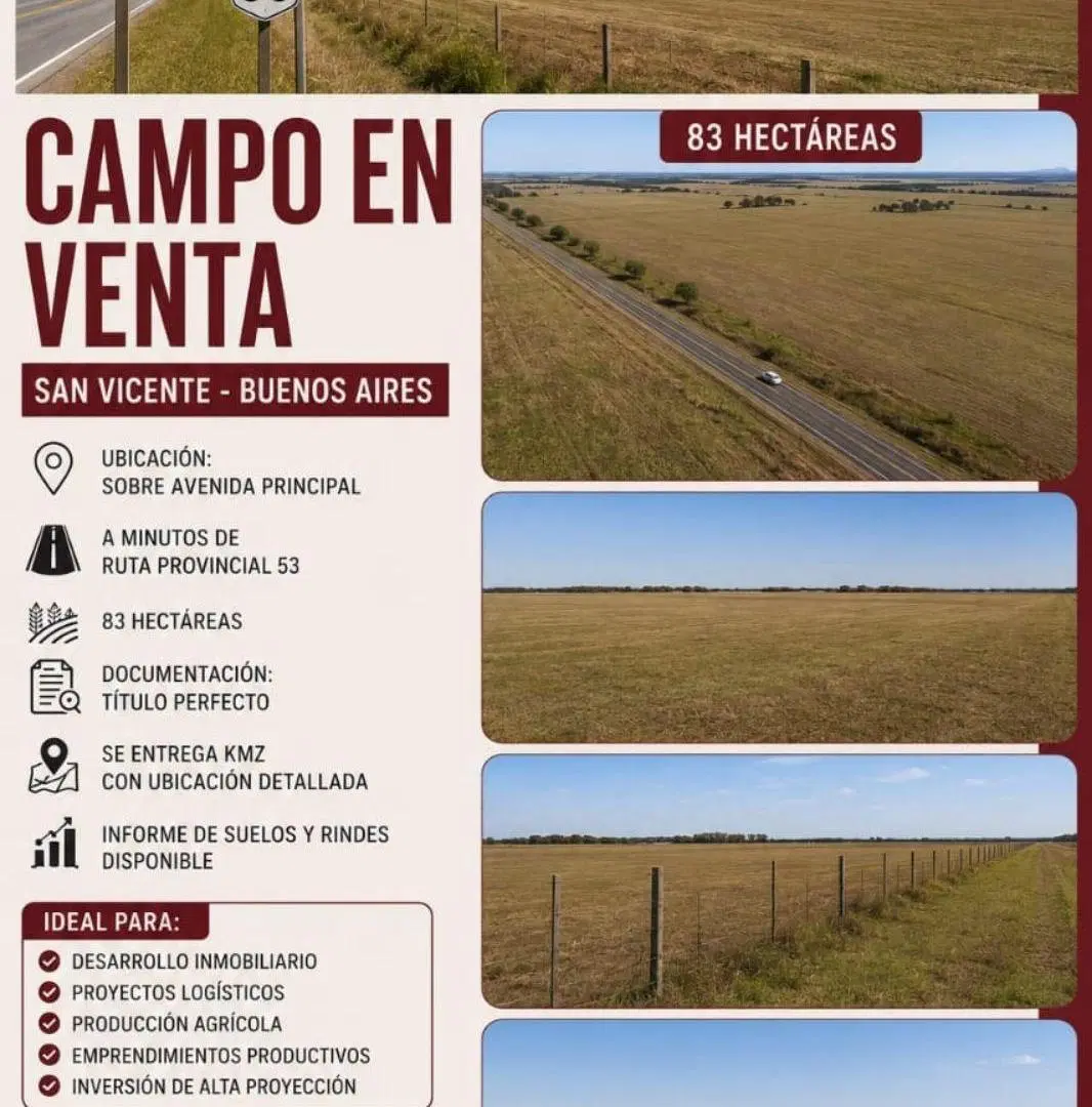 Campo - San Vicente 5