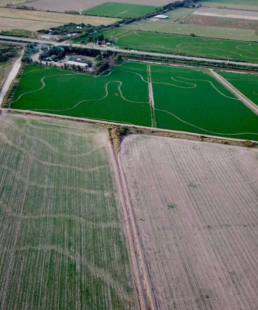 Foto de Campo - Santiago Del Estero, imagen 1