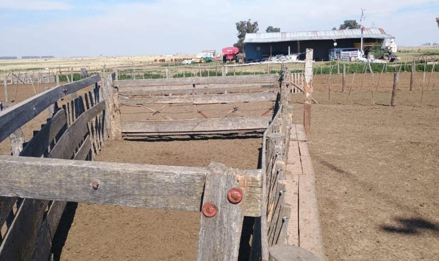 Foto de Campo - Rufino, imagen 1