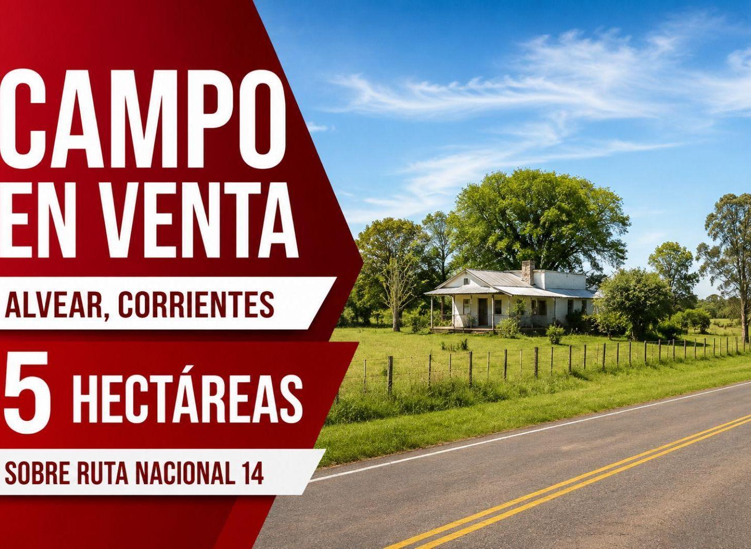 Foto de Campo - General Alvear, imagen 1