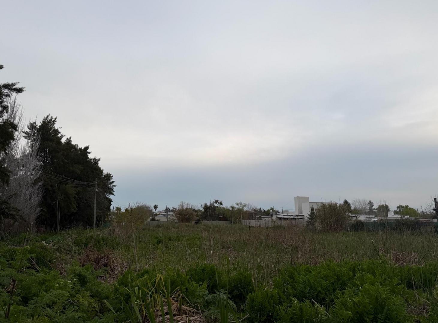 Foto de Terreno - Manuel B Gonnet, imagen 5