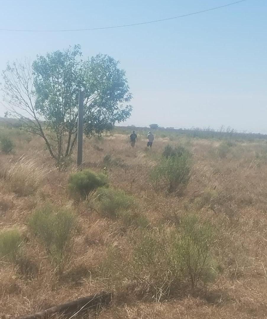 Foto de Campo de 84 hectares - ideal para desarrollo - zona norte de Buenos, imagen 5