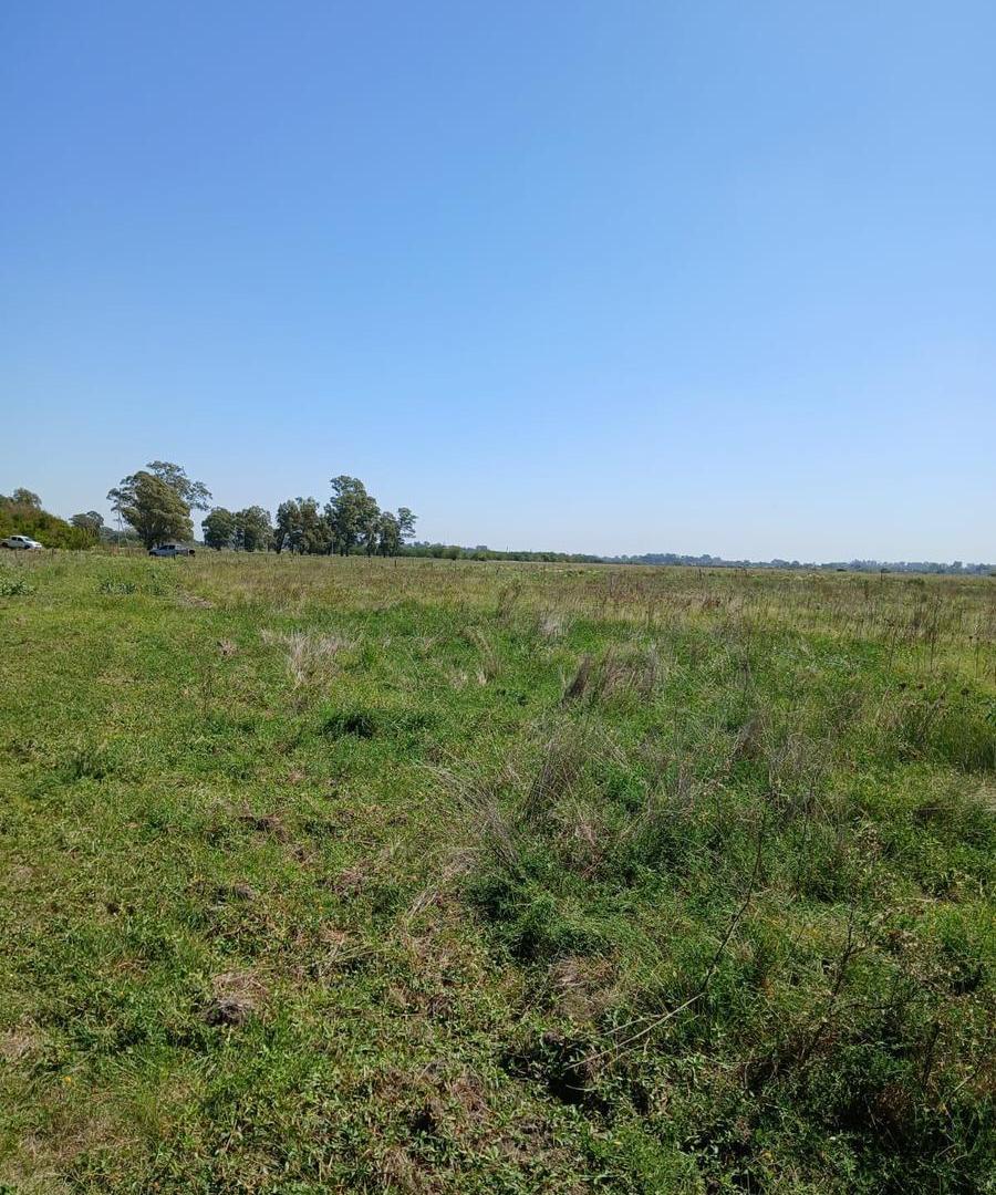 Foto de Campo de 84 hectares - ideal para desarrollo - zona norte de Buenos, imagen 1