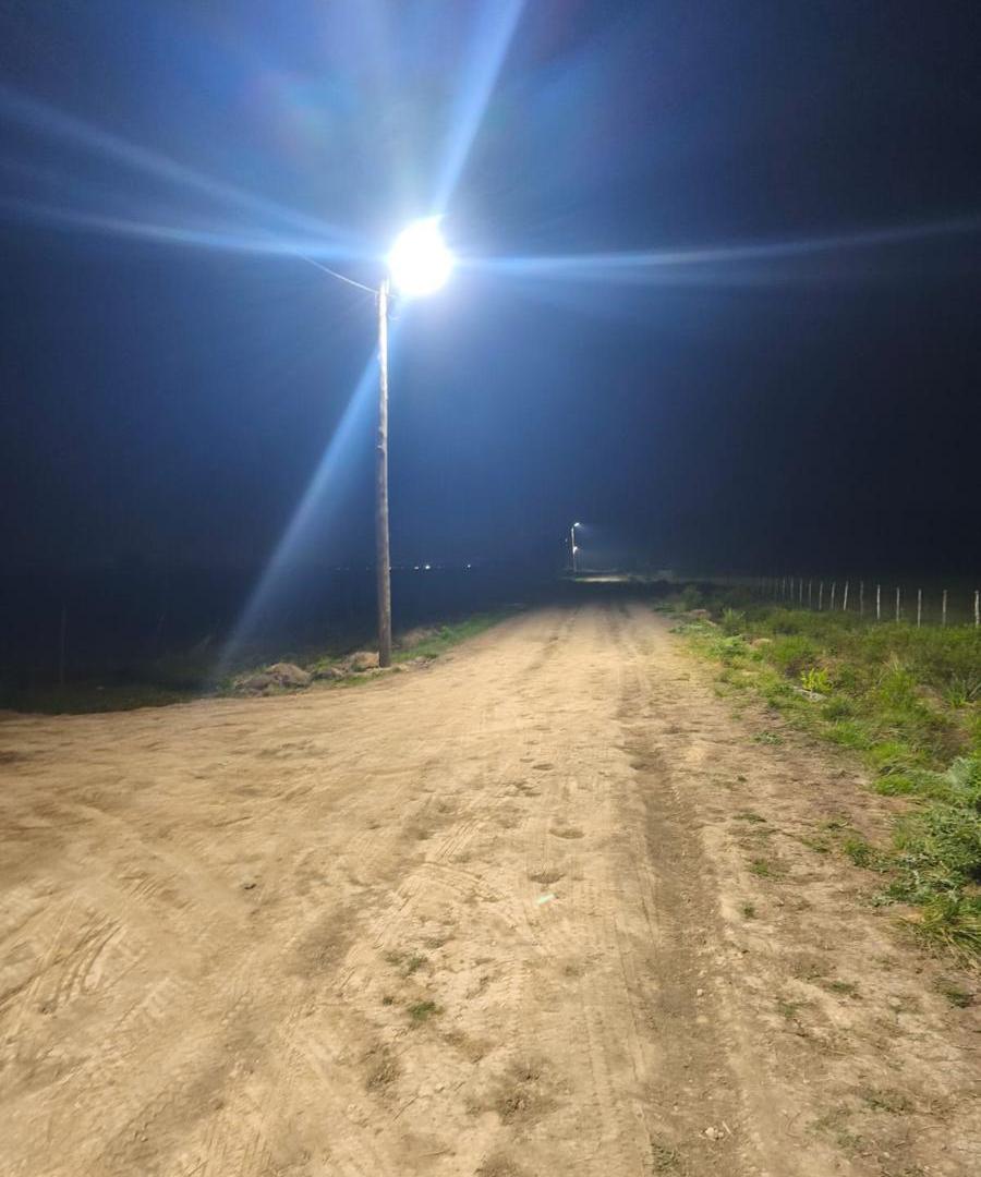 Foto de Campo de 84 hectares - ideal para desarrollo - zona norte de Buenos, imagen 4