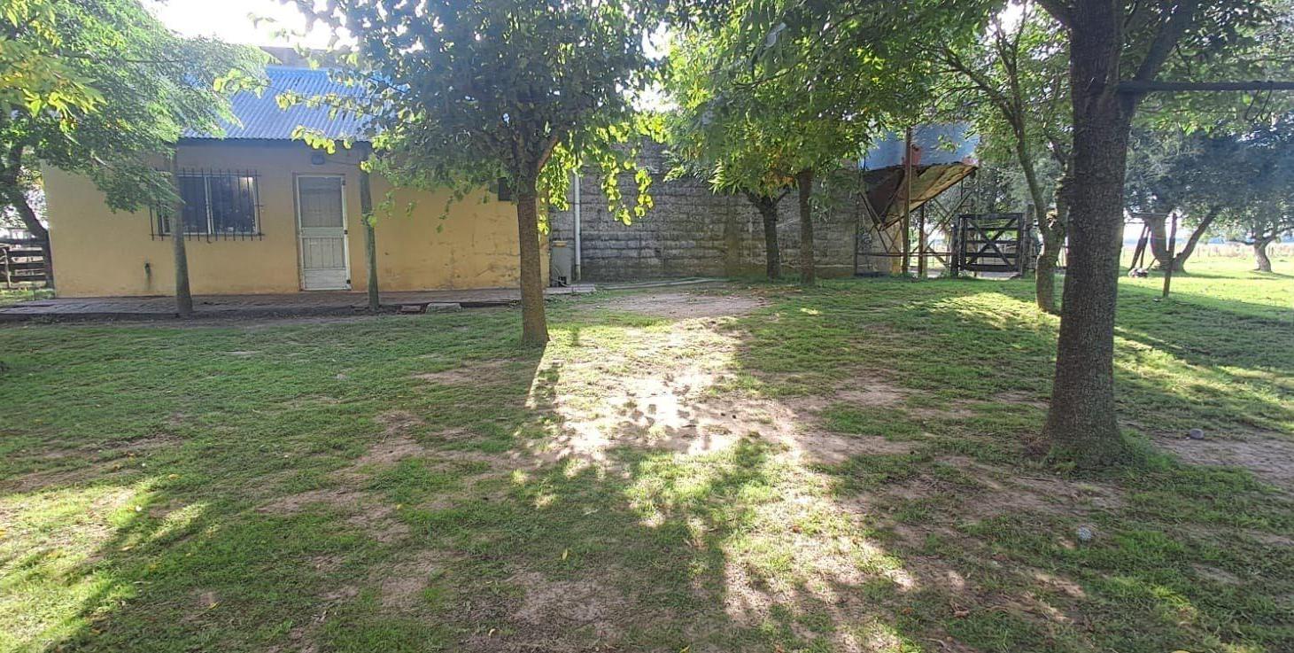 Foto de Campo - San Vicente, imagen 4