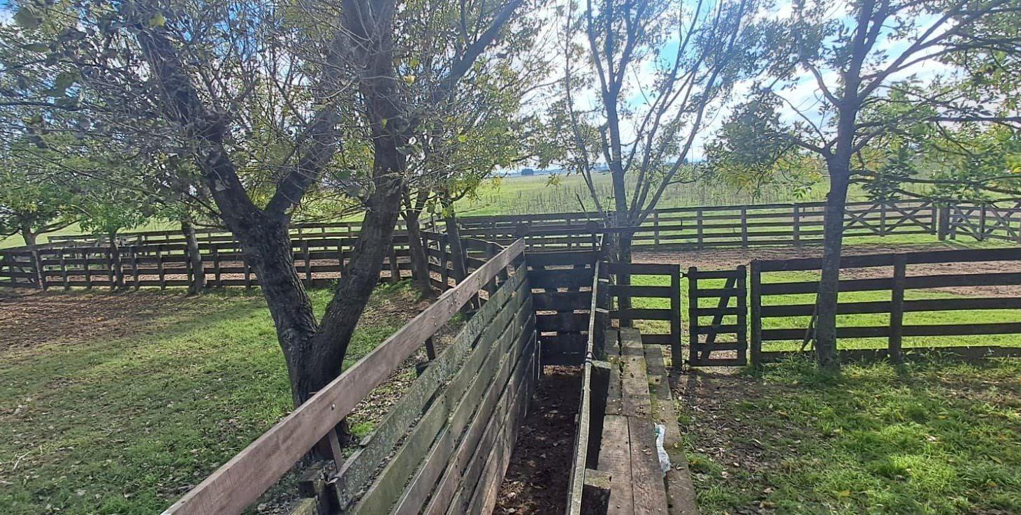 Foto de Campo - San Vicente, imagen 1