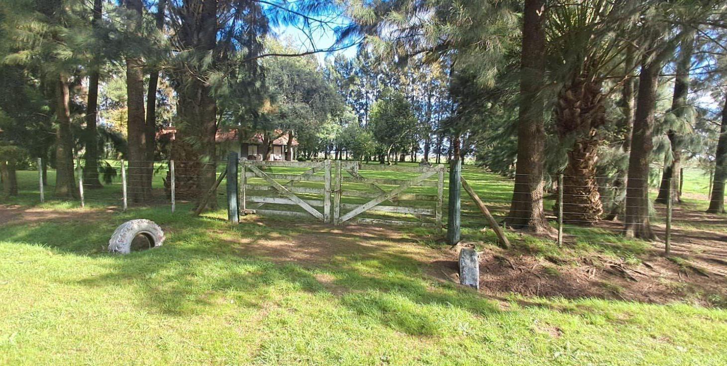 Foto de Campo - San Vicente, imagen 3