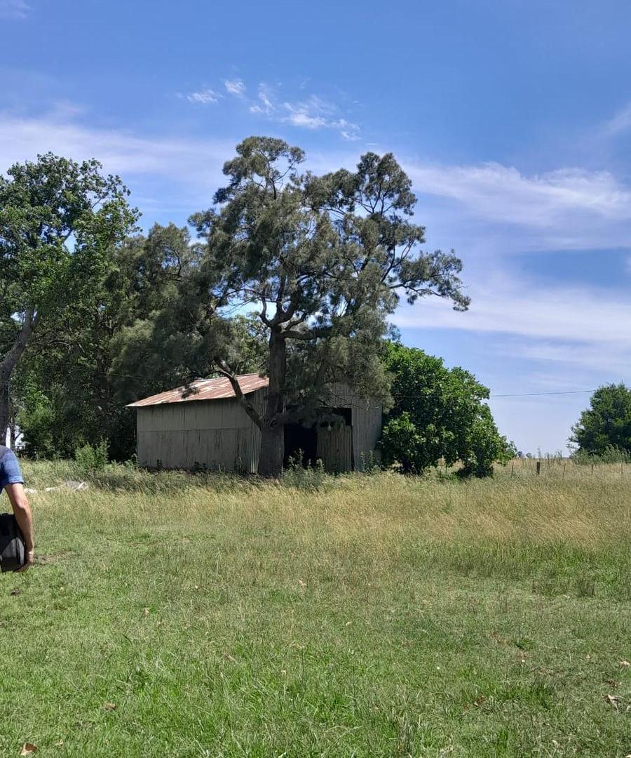 Foto de Campo en Venta. Giribone . Gral Belgrano . Bs. As., imagen 3