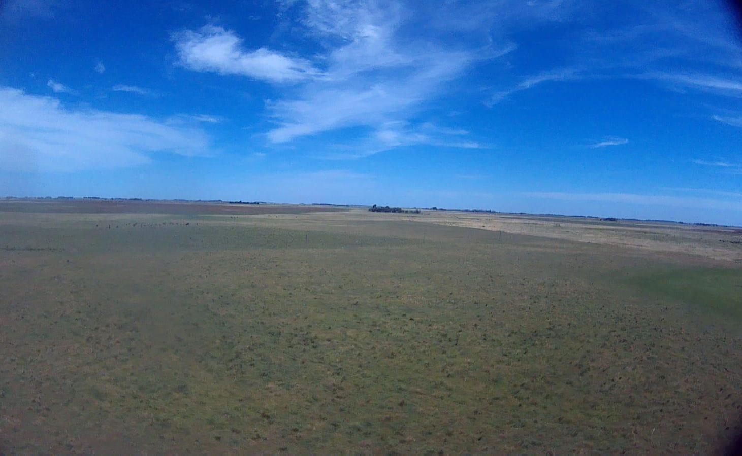 Foto de Campo en Venta. Giribone . Gral Belgrano . Bs. As., imagen 1