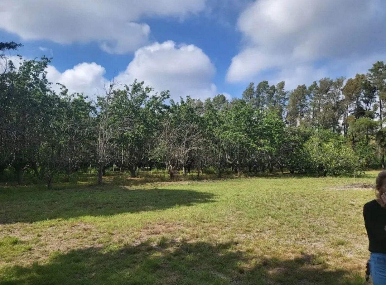 Foto de Campo - Zarate, imagen 3