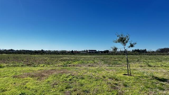 Foto de Venta Lote Estancias del Pilar, Barrio La Laguna, Pilar, imagen 4