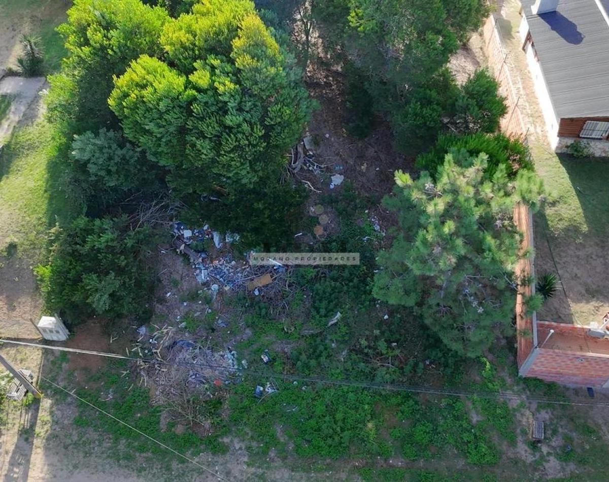 Oportunidad Unica en El Corazon de Villa Gesell - Lote Ideal Para Desarrollo Residencial o Turistico 3