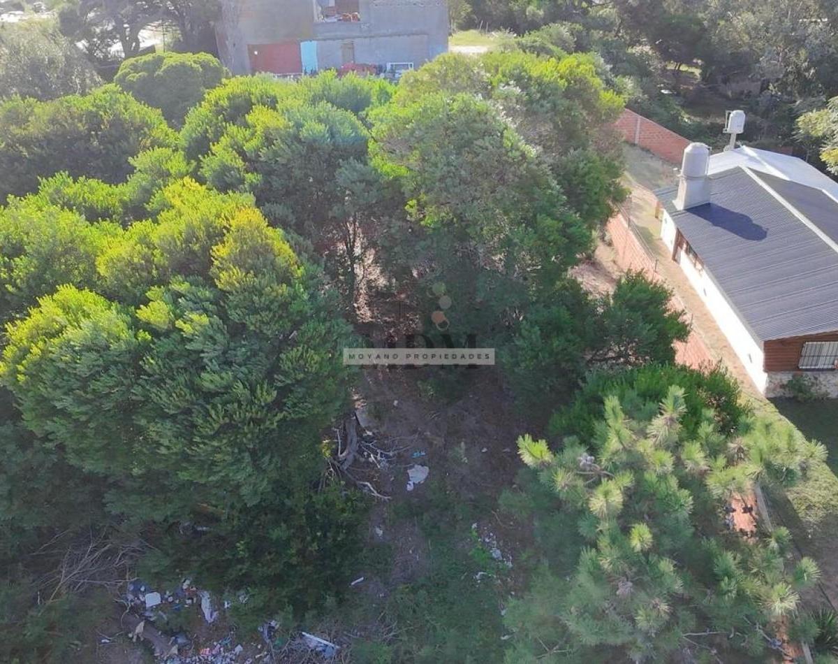 Oportunidad Unica en El Corazon de Villa Gesell - Lote Ideal Para Desarrollo Residencial o Turistico 1