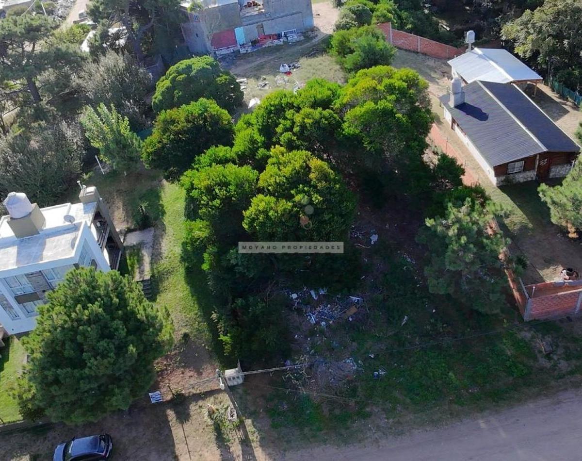 Oportunidad Unica en El Corazon de Villa Gesell - Lote Ideal Para Desarrollo Residencial o Turistico 5