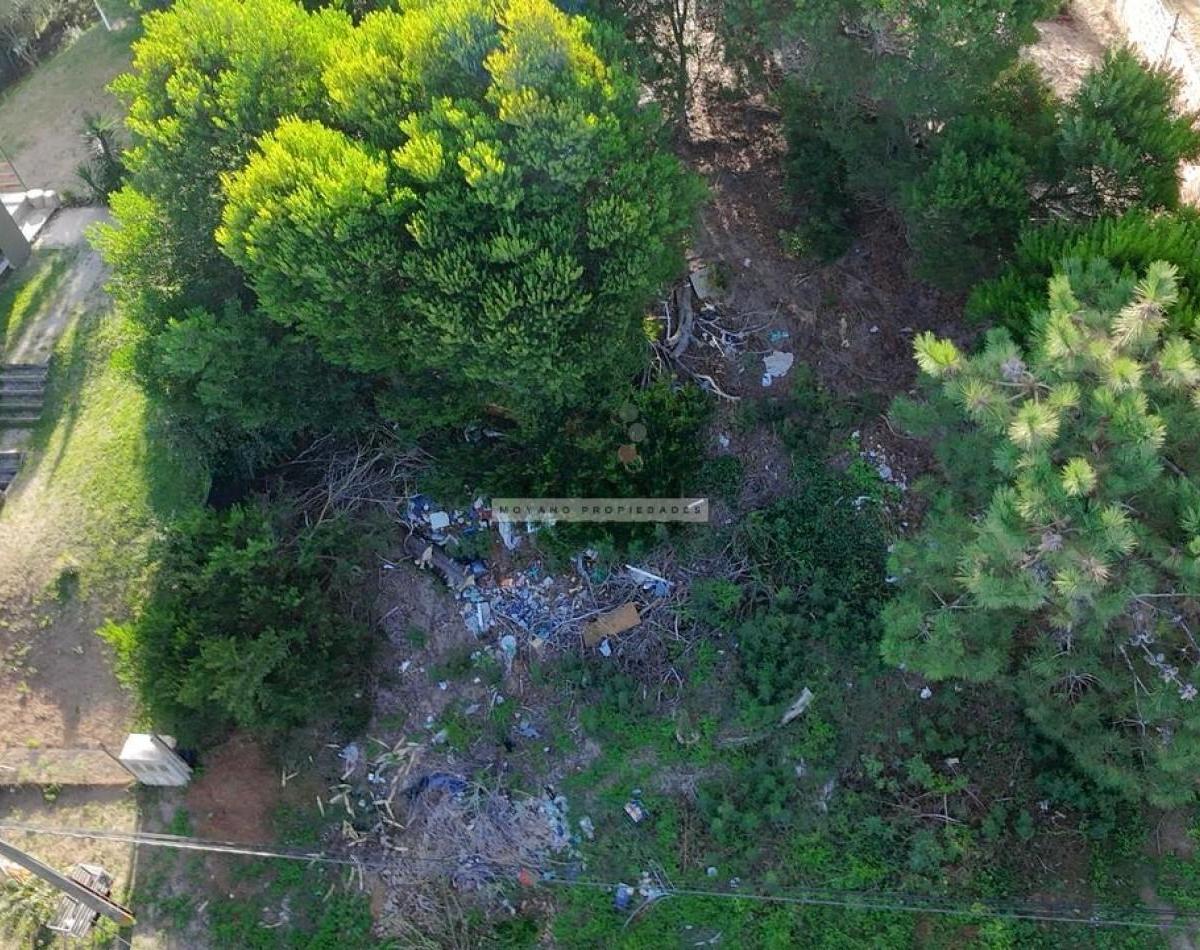 Oportunidad Unica en El Corazon de Villa Gesell - Lote Ideal Para Desarrollo Residencial o Turistico 2