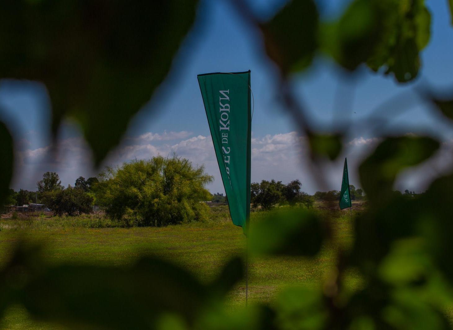 Foto de VENTA LOTE EN SOLARES DE KORN - APTO PERMUTA, imagen 2