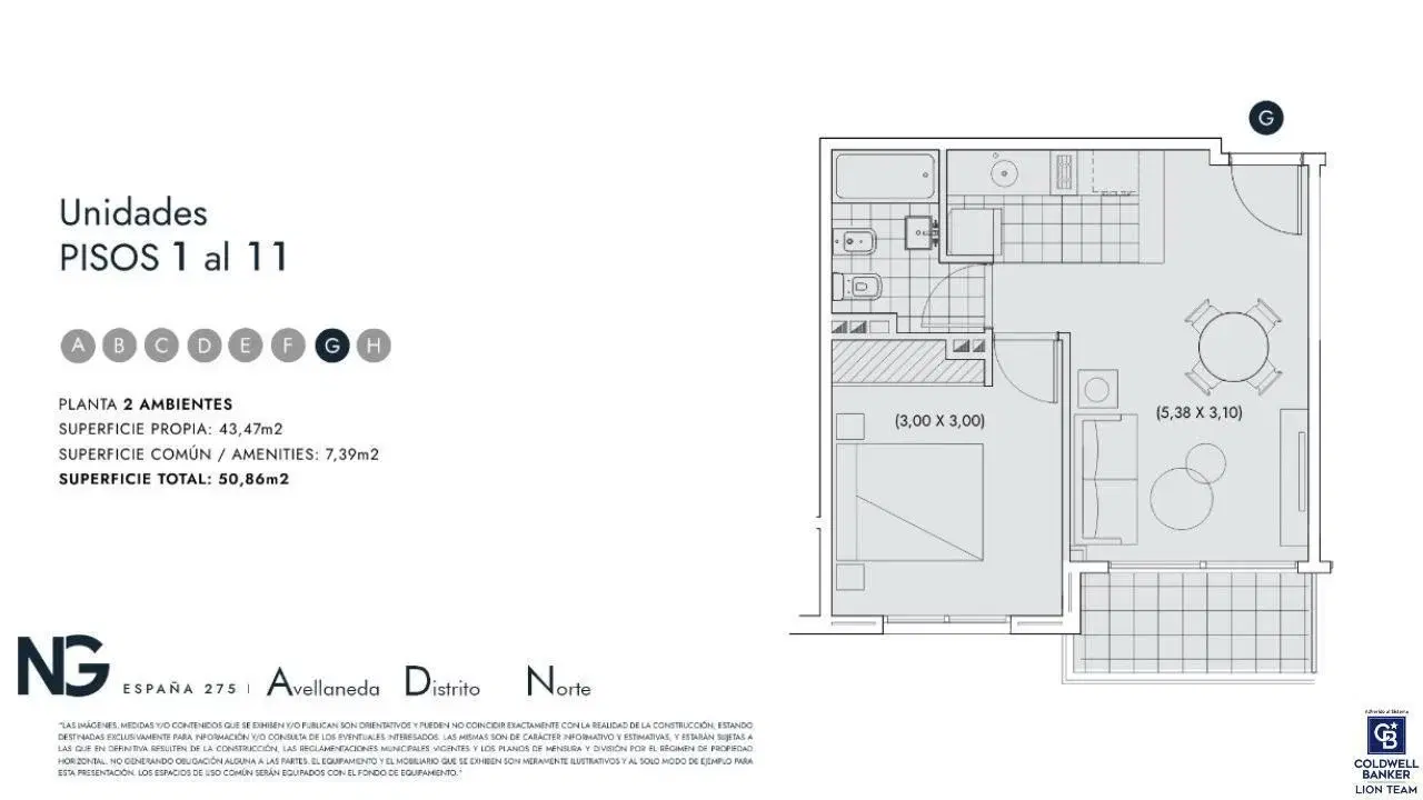 Plano 6