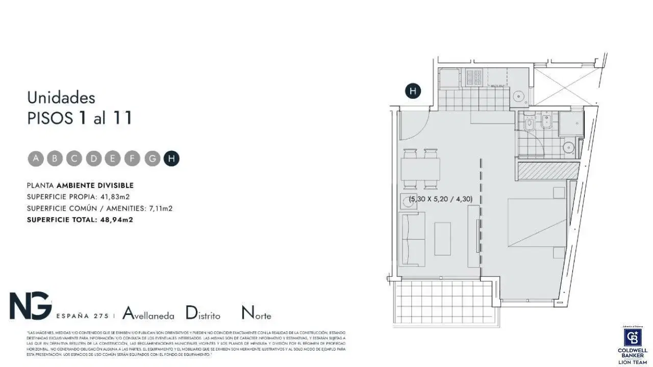 Plano 6