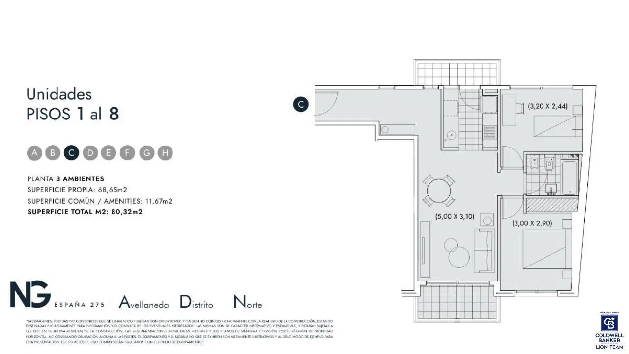 Plano 6
