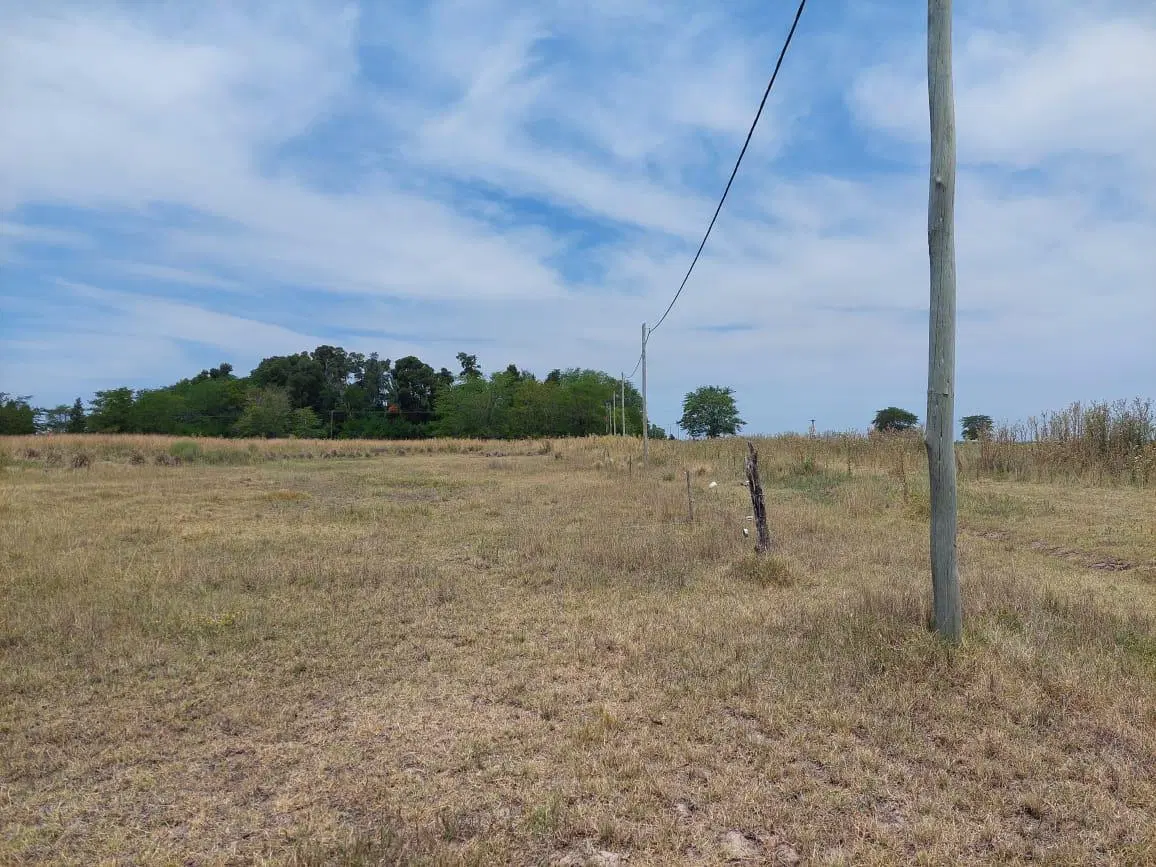 Terreno-CHASCOMUS CALLE PUBLICA N° 84 LEZAMA 2
