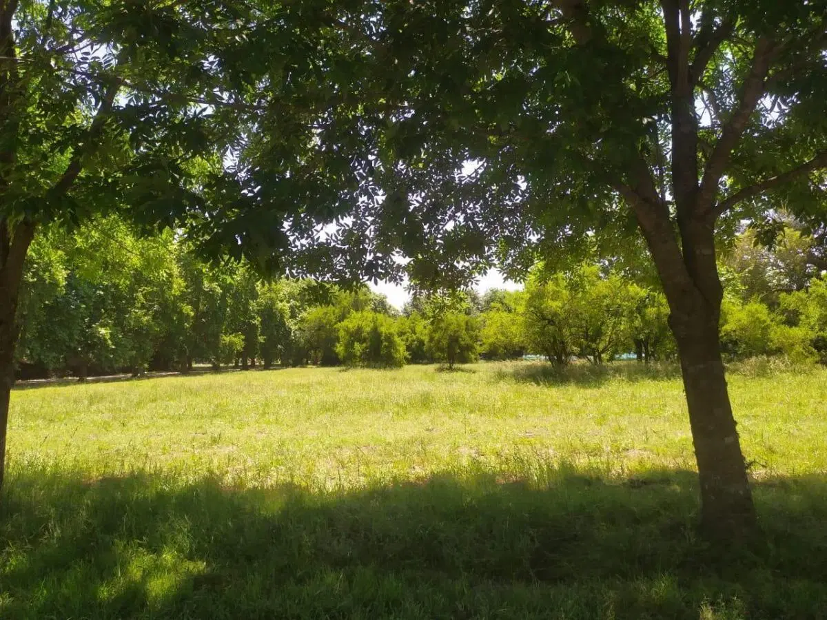 Lotes en venta 1B31 & 1B38 Estancia Villa María - Los Álamos 8