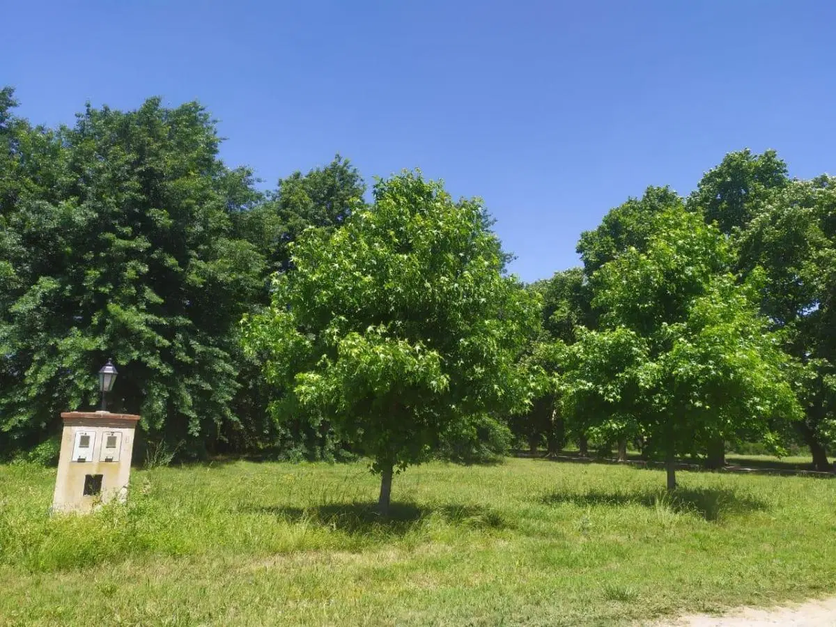 Lotes en venta 1B31 & 1B38 Estancia Villa María - Los Álamos 2