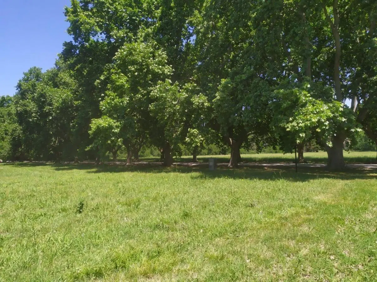 Lotes en venta 1B31 & 1B38 Estancia Villa María - Los Álamos 4