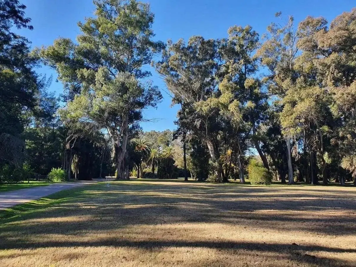 Lotes en venta 1B31 & 1B38 Estancia Villa María - Los Álamos 4