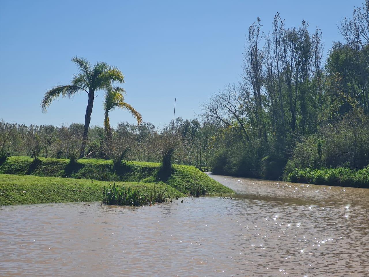 Foto de Lotes en venta - Alamos del Parana - Delta, imagen 1
