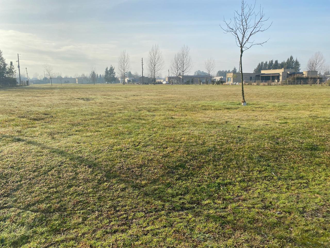 Foto de Terreno en Fincas de San Vicente, imagen 4