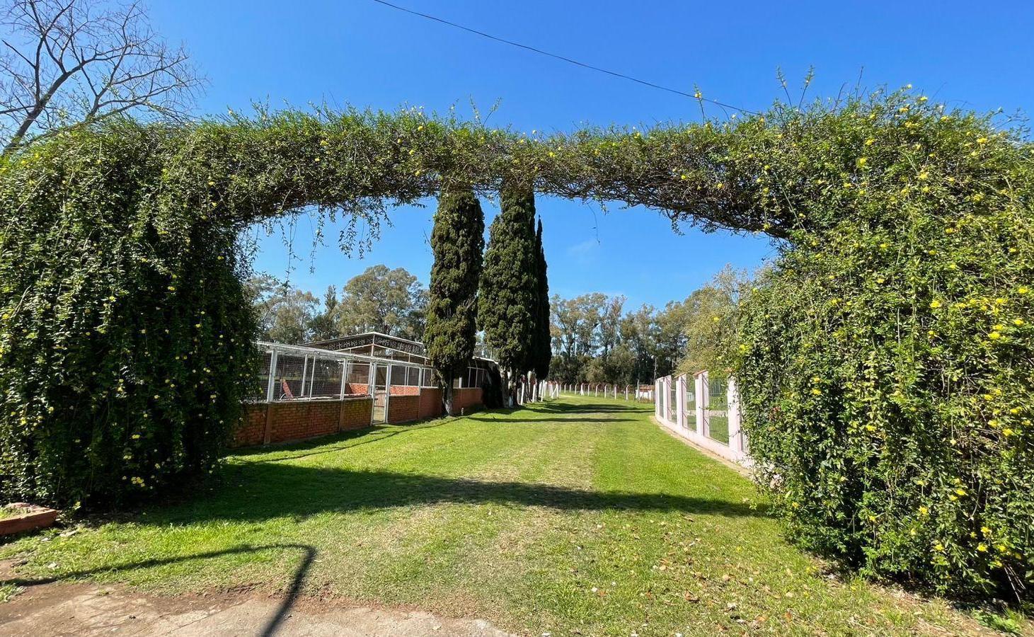 Foto de VENTA - CHACRA en BARADERO - 24 HECTAREAS, imagen 2