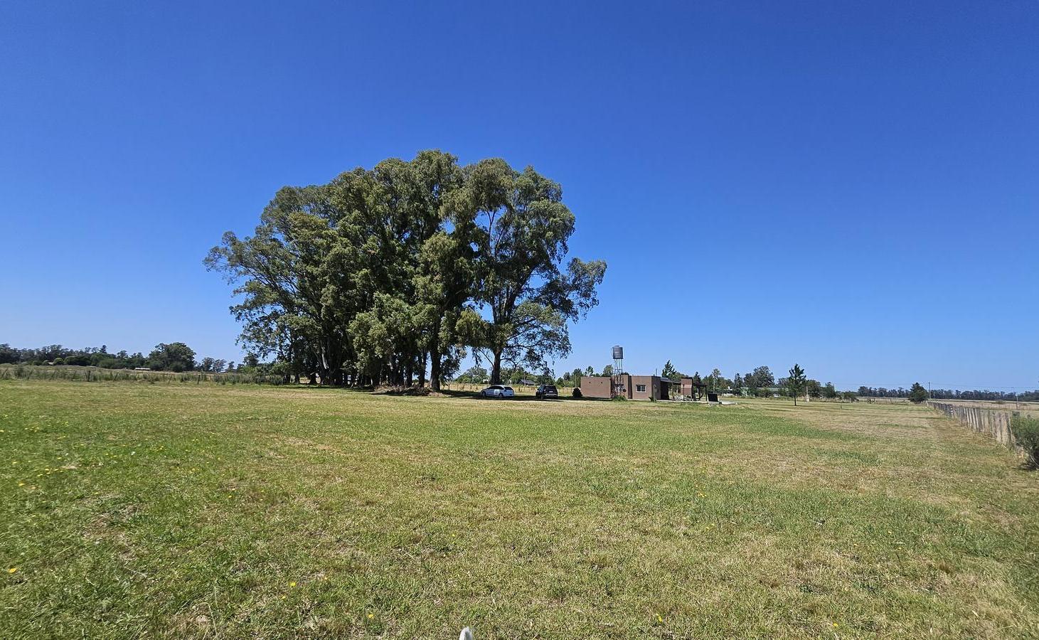 Foto de VENTA CASA Quinta en Manuel Jose Garcia LOTE DE 1 HA, imagen 5