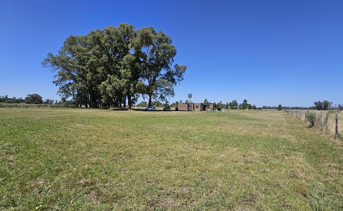 Foto de VENTA CASA Quinta en Manuel Jose Garcia LOTE DE 1 HA, imagen 4