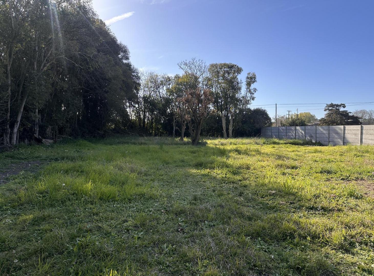 Foto de Terreno en Gowland, imagen 2