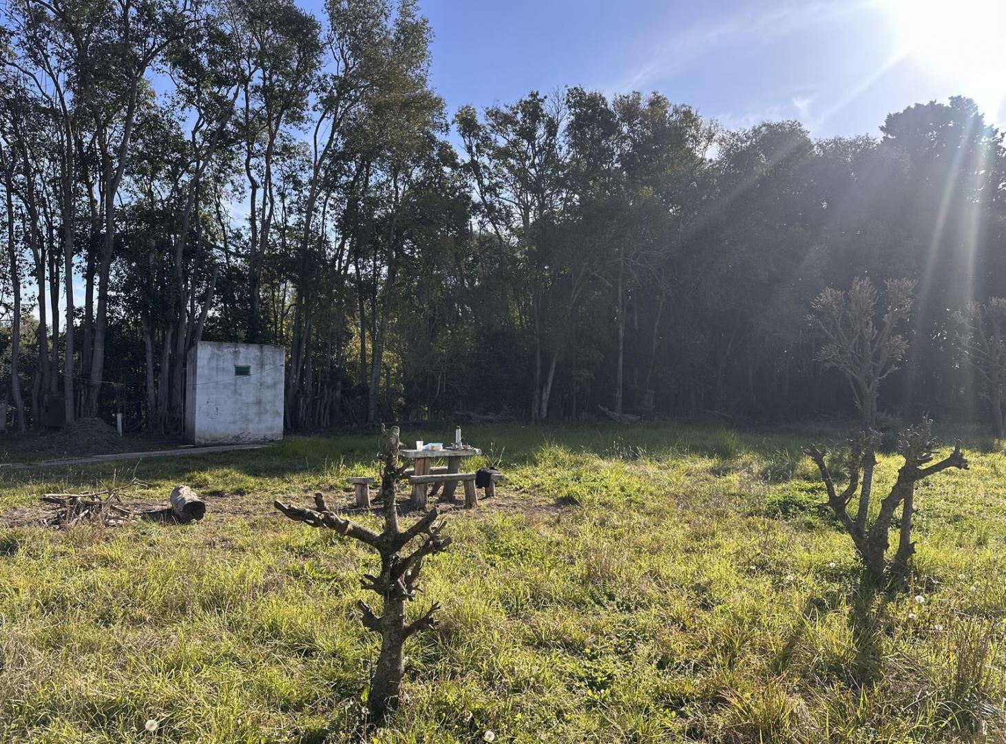 Foto de Terreno en Gowland, imagen 1