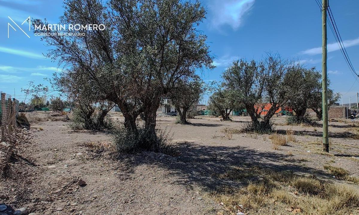 Lote B° Privado Tierras de Olavarría 4