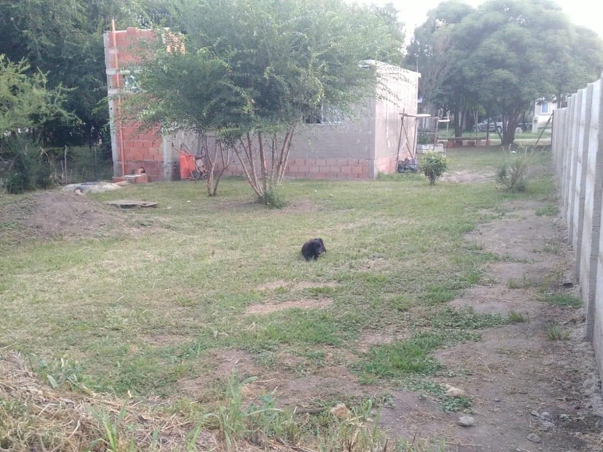 Foto de VENTA CASA EN CONSTRUCCION VALLE ALEGRE FALDA DEL CARMEN, imagen 4