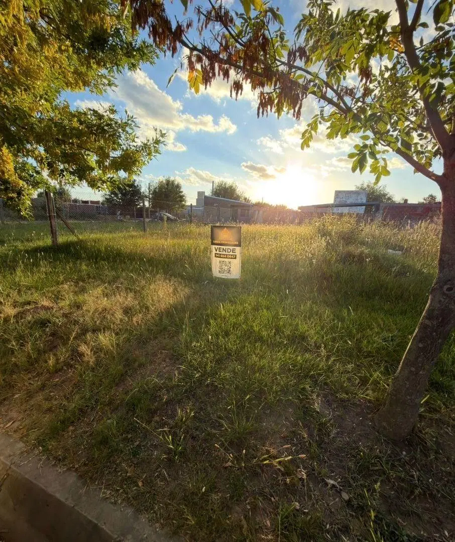 Venta lote comercial sobre Bv en Tierra de Sueños Puerto San Martín 4