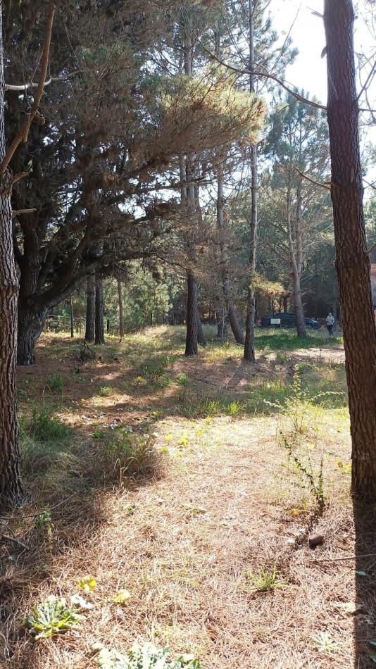 Inmejorable Terreno Multifamiliar en Aguas Verdes en Venta. tomamos Vehiculos 1