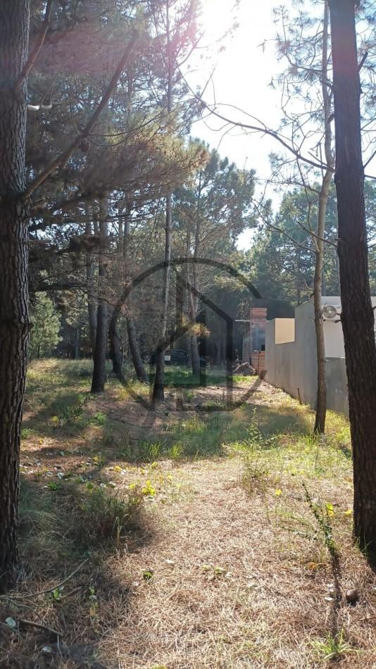 Inmejorable Terreno Multifamiliar en Aguas Verdes en Venta. tomamos Vehiculos 3
