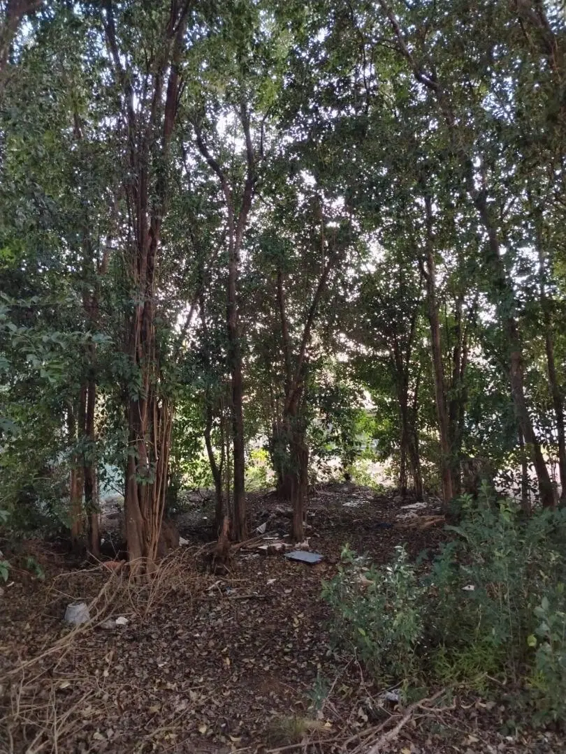 Lote en Venta en Villa Catalina 2