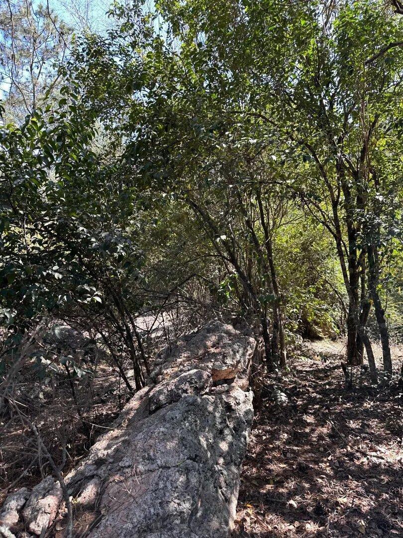 Foto de Lotes De 800m² - Potrero De Garay, A Metros Del Lago, imagen 3