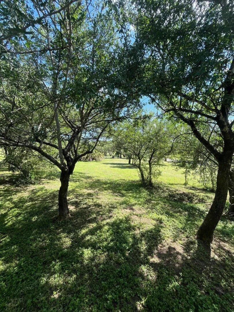 Foto de Lote Premium Fondo Golf 1500m² Con Vistas A La Cancha, imagen 3