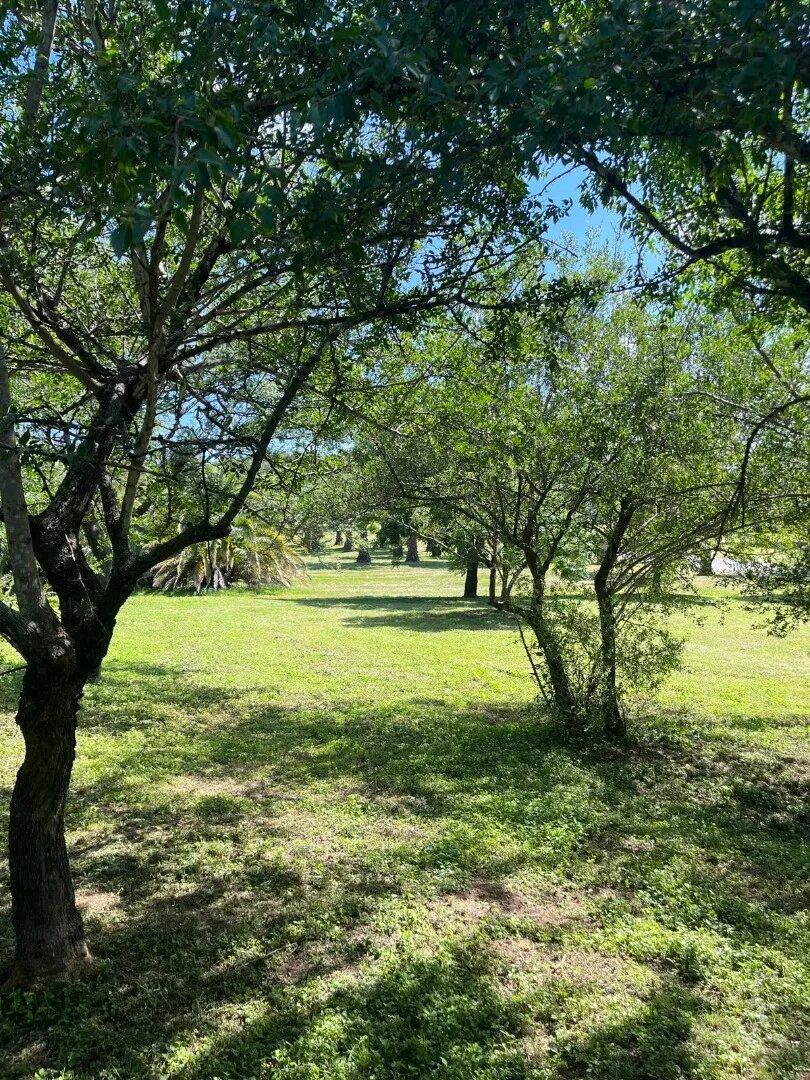 Foto de Lote Premium Fondo Golf 1500m² Con Vistas A La Cancha, imagen 1