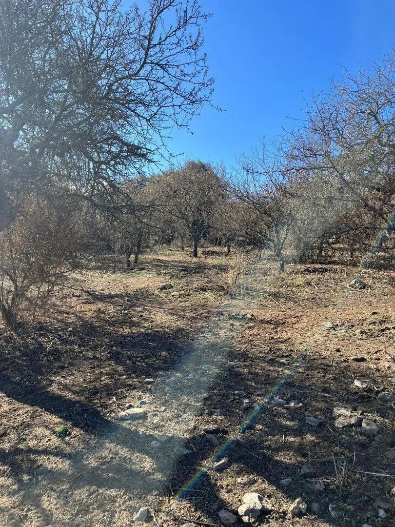 Foto de Los Espinillos. Córdoba. Lote Con Bajada Al Rio, imagen 5