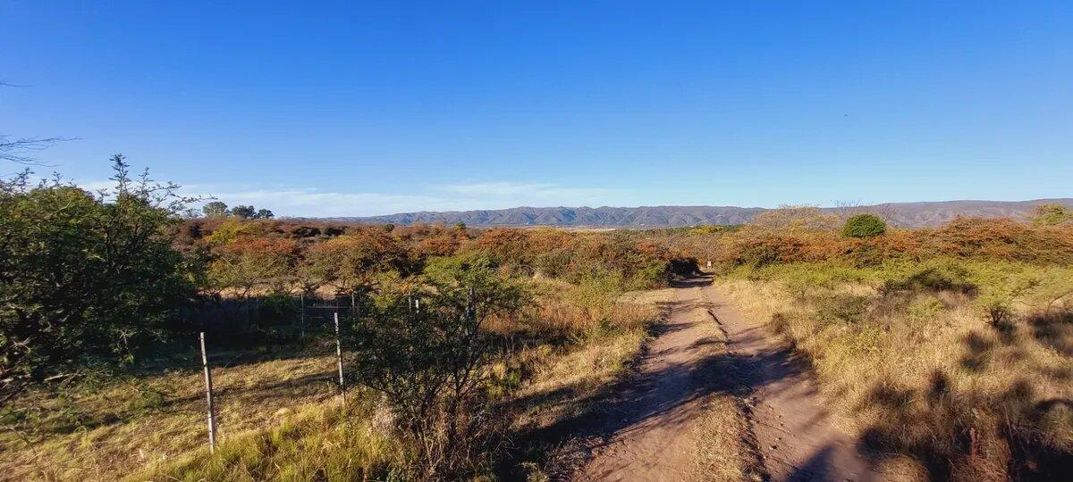 Foto de Lote en venta 625 m² con escritura en Capilla Vieja, Los Reartes, imagen 1