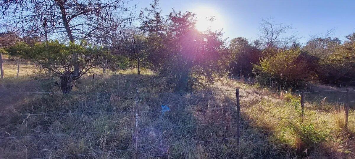 Foto de Lote en venta 625 m² con escritura en Capilla Vieja, Los Reartes, imagen 2