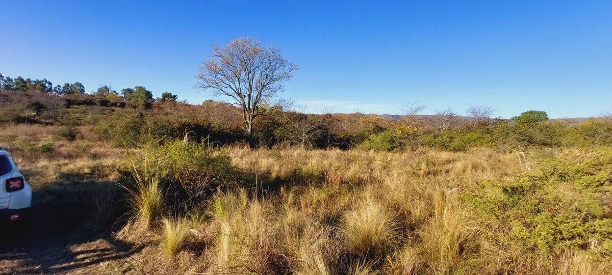 Foto de Lote en venta 625 m² con escritura en Capilla Vieja, Los Reartes, imagen 3