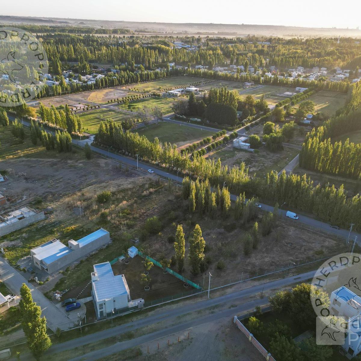 Terreno en Plottier 5